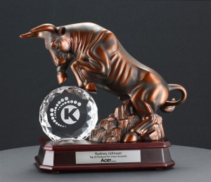 bull-award-1